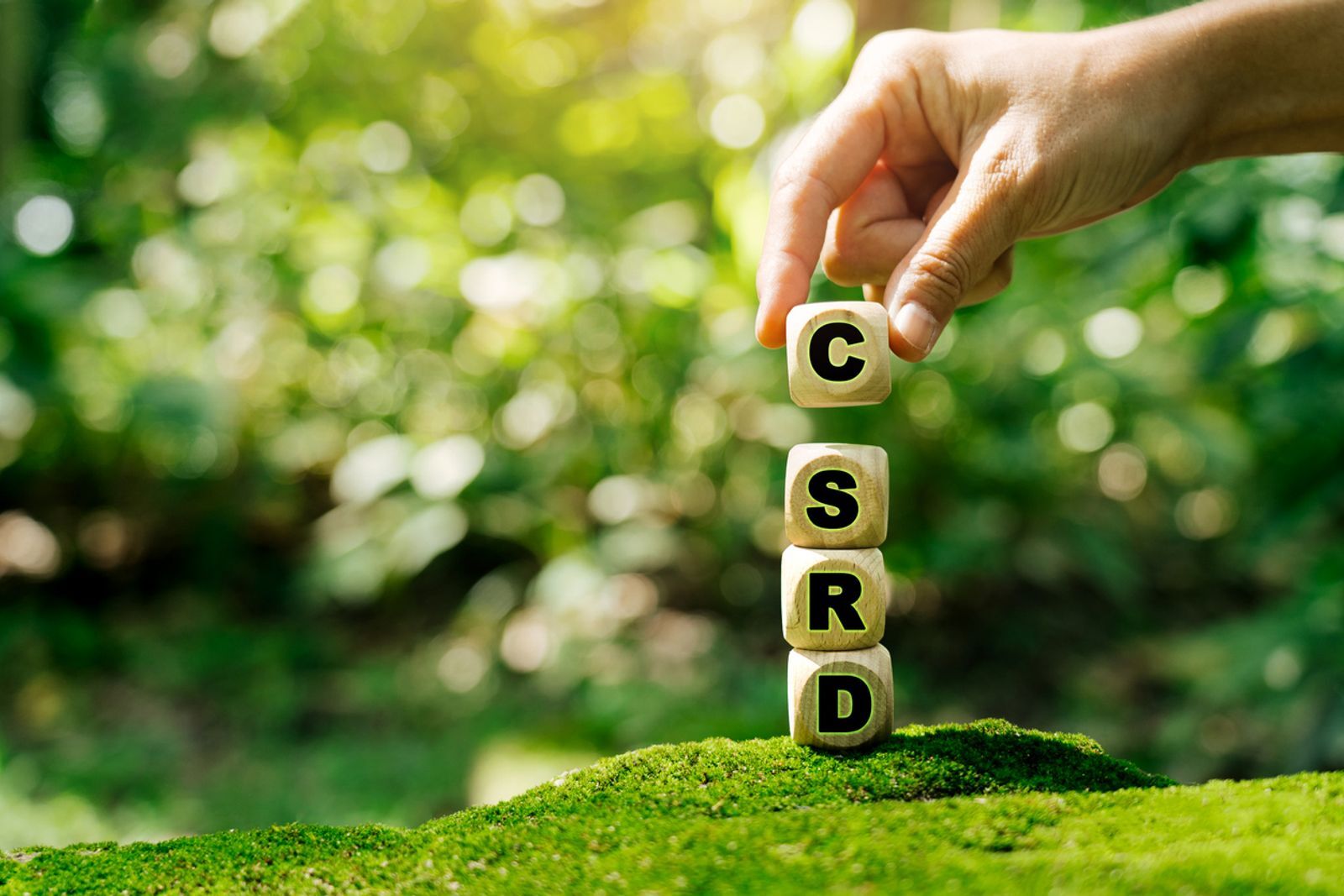 CSRD limited assurance requirements – your complete guide