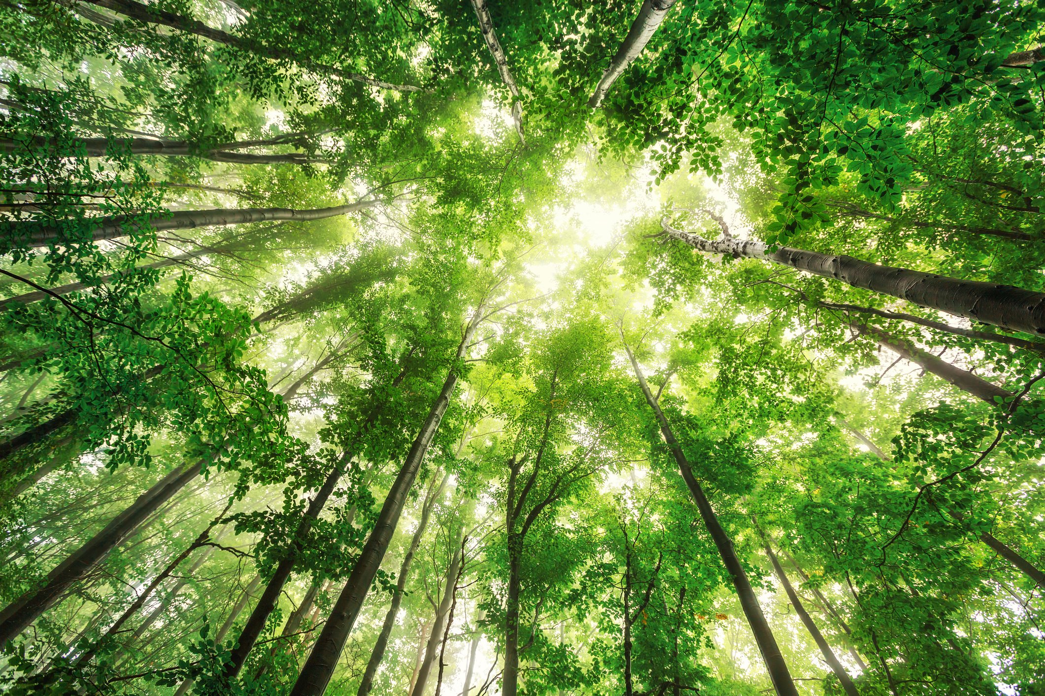 Recording: Navigating the ESRS Taxonomy and the path to a CSRD compliant report
