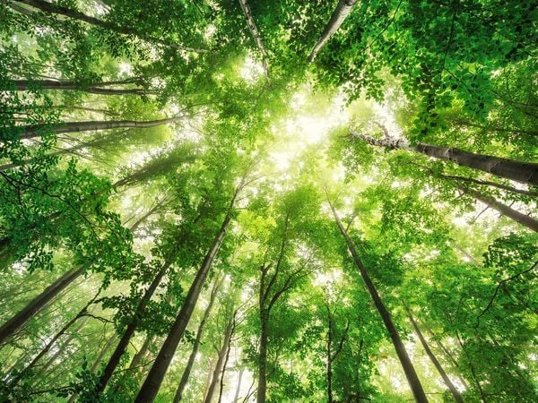 Recording: Navigating the ESRS Taxonomy and the path to a CSRD compliant report