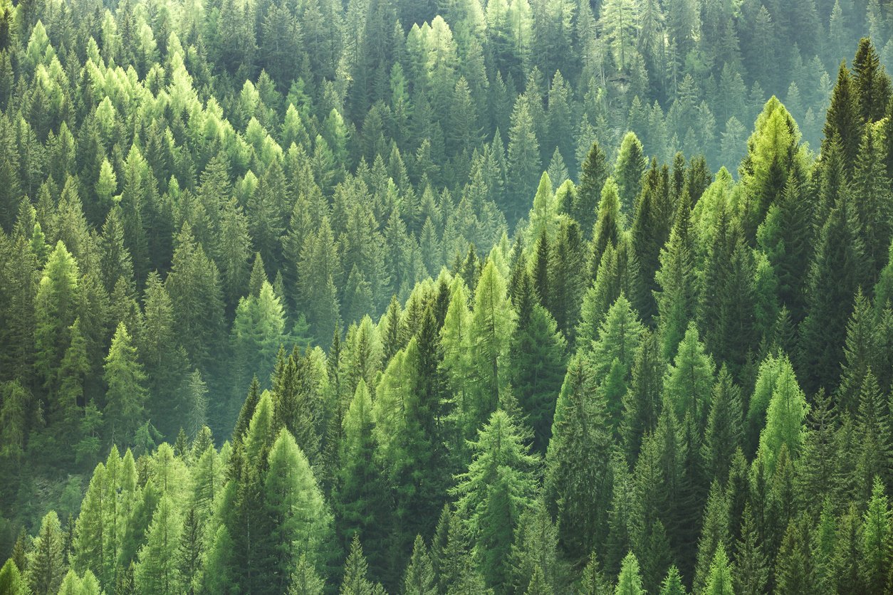 The sustainability report's most important stakeholders